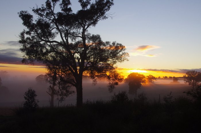 Coliban River at dawn C Walker 2012